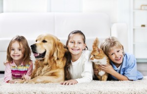 Happy children with animals playing at the home. [url=http://www.istockphoto.com/search/lightbox/9786682][img]http://dl.dropbox.com/u/40117171/children5.jpg[/img][/url] [url=http://www.istockphoto.com/search/lightbox/9786797][img]http://dl.dropbox.com/u/40117171/people-animals.jpg[/img][/url]